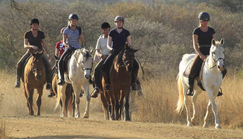 Lodge Pakamisa Private Game Reserve Pongola