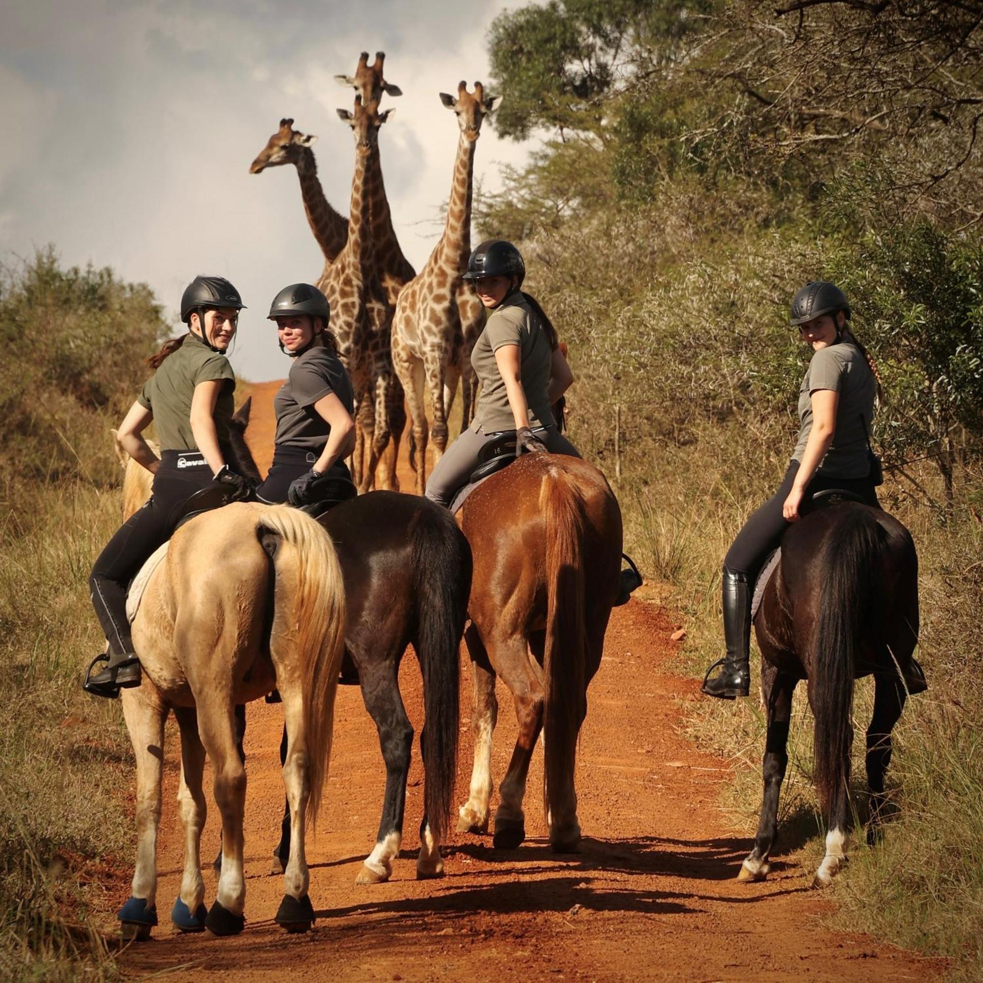 Pakamisa Private Game Reserve Lodge Pongola