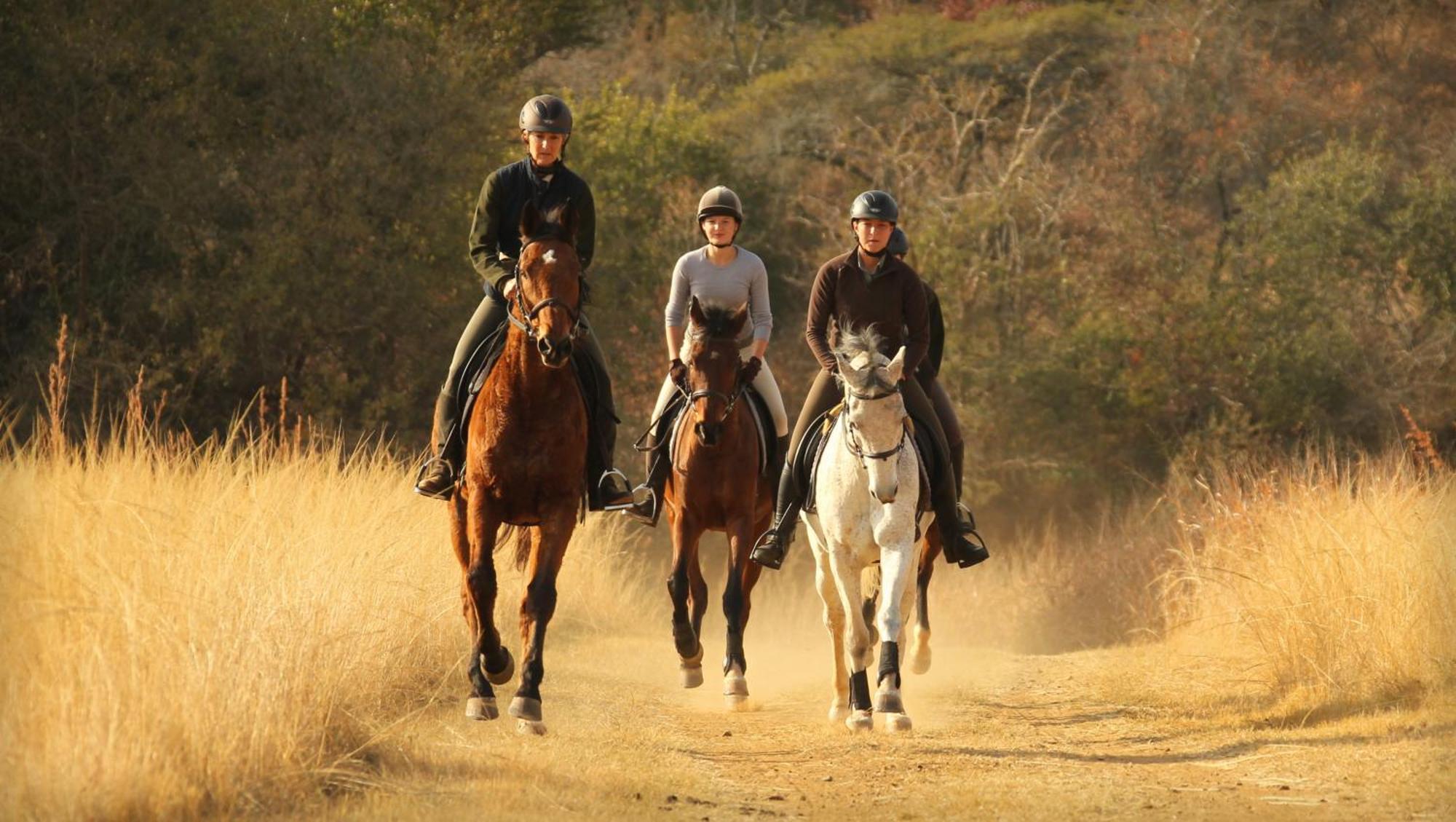Pakamisa Private Game Reserve