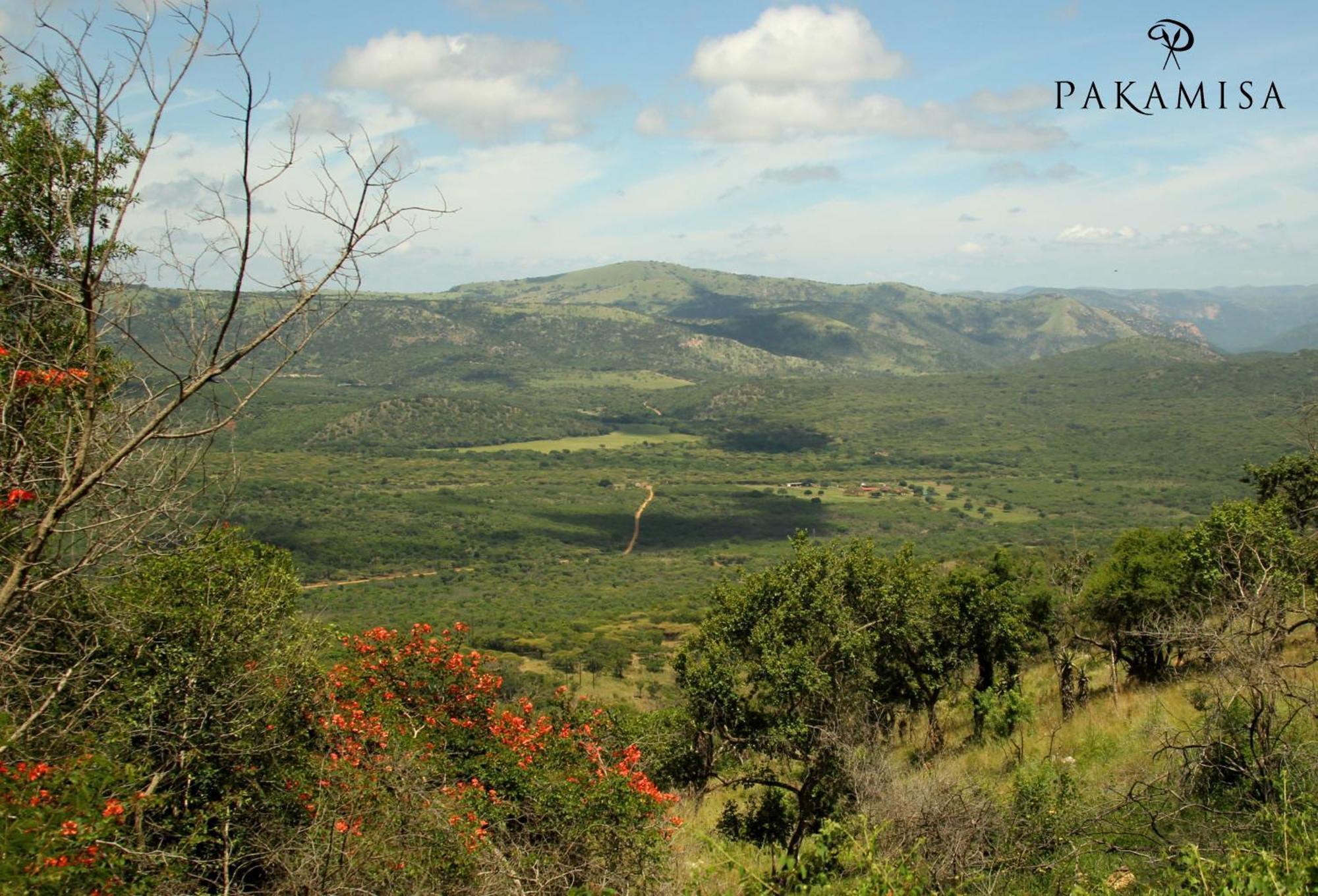 Lodge Pakamisa Private Game Reserve