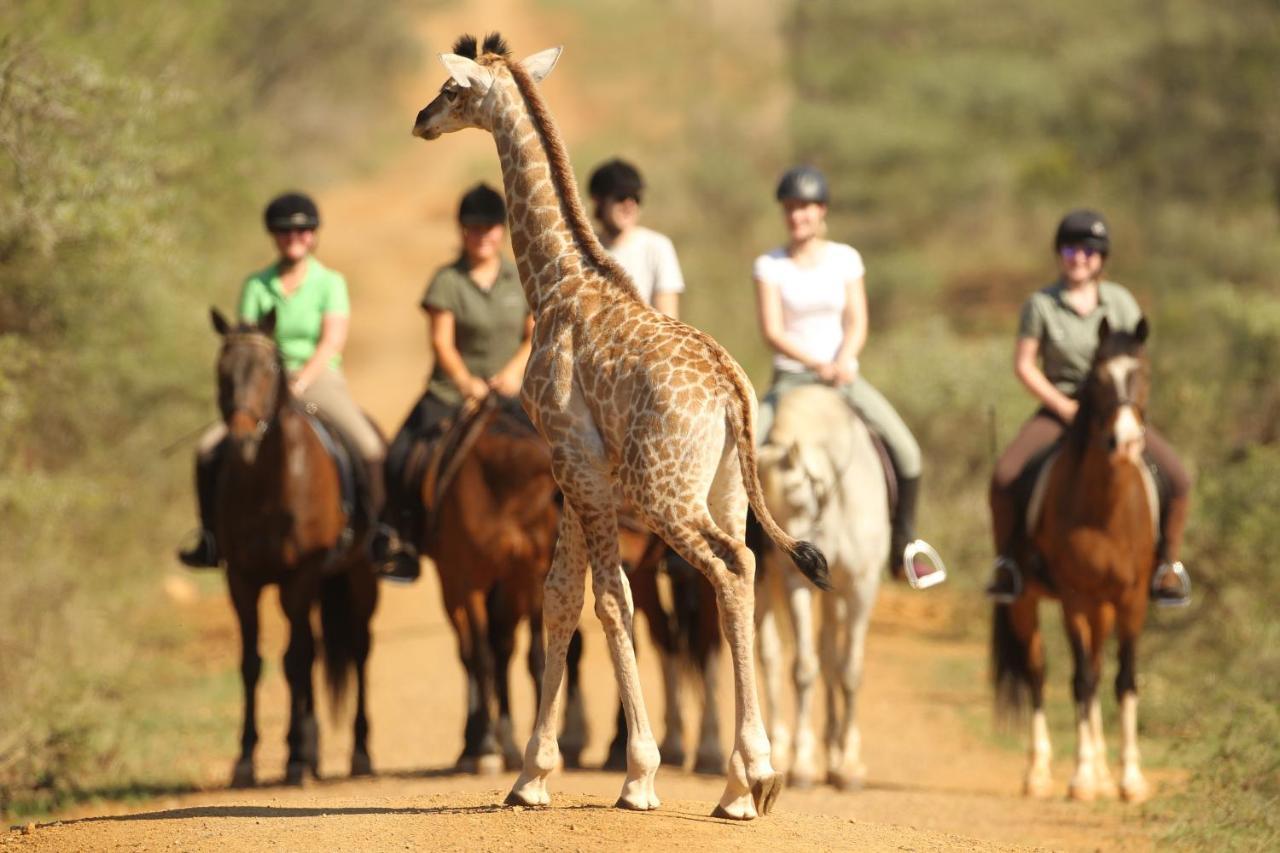 Pakamisa Private Game Reserve * Pongola