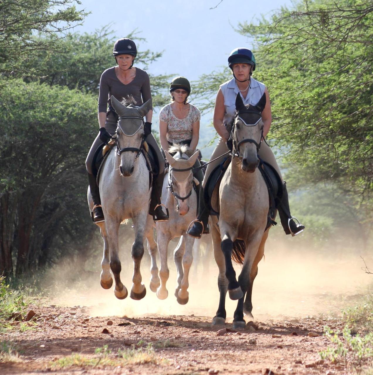Lodge Pakamisa Private Game Reserve