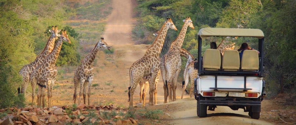 Pakamisa Private Game Reserve *