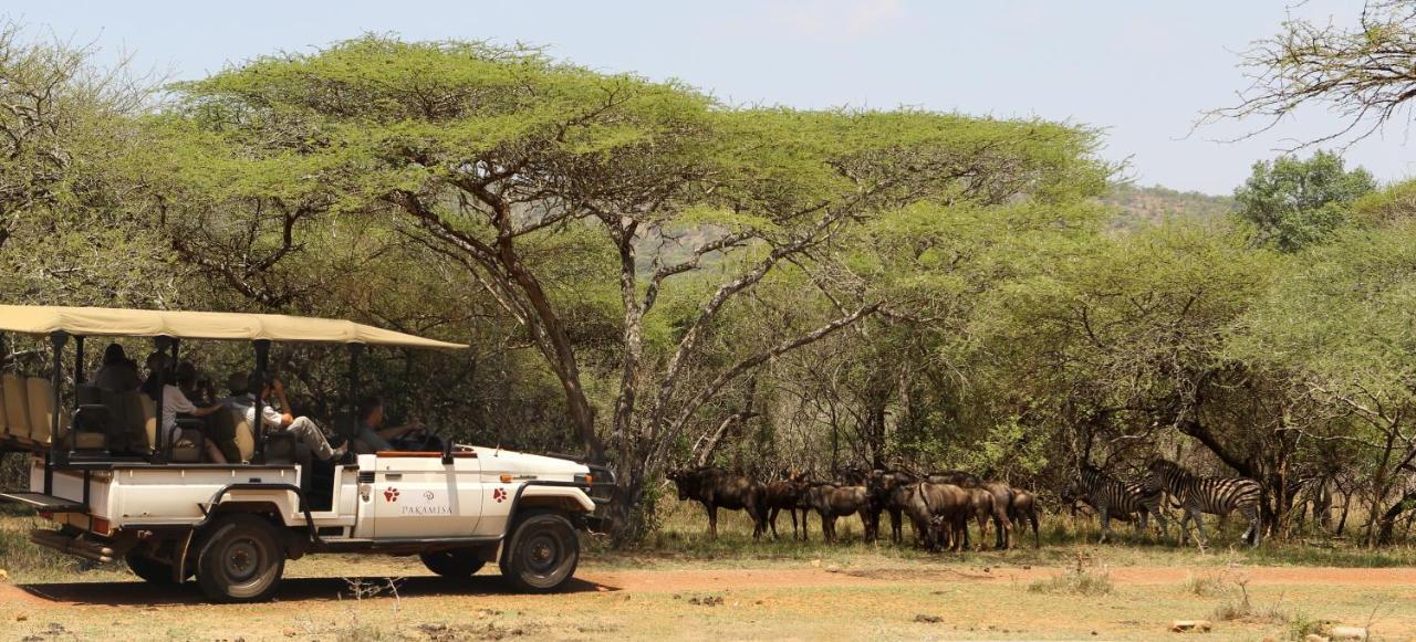 Lodge Pakamisa Private Game Reserve Pongola