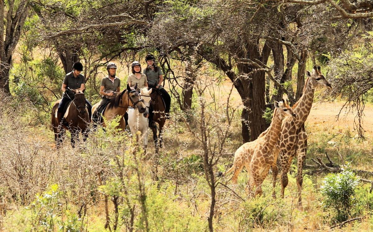 Lodge Pakamisa Private Game Reserve Pongola