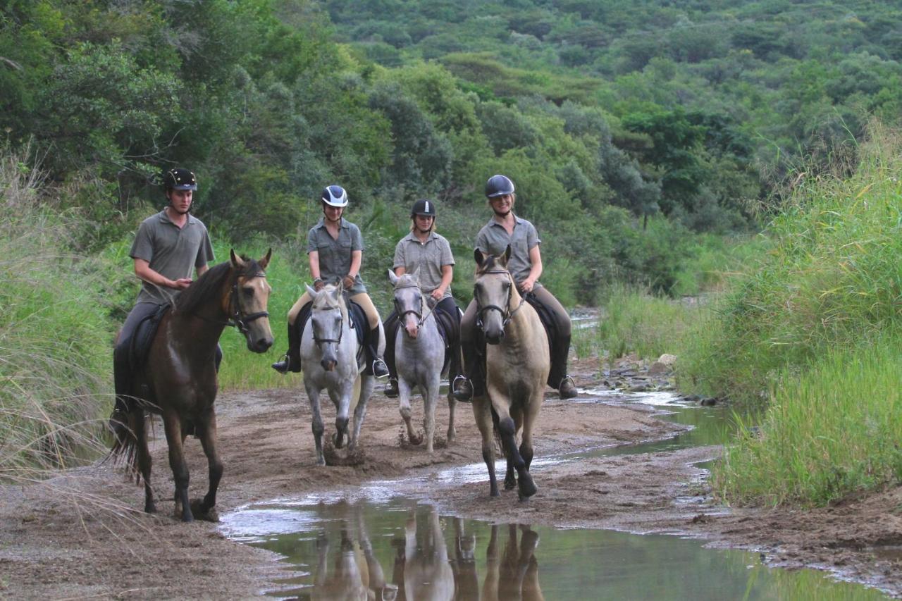 Pakamisa Private Game Reserve Pongola